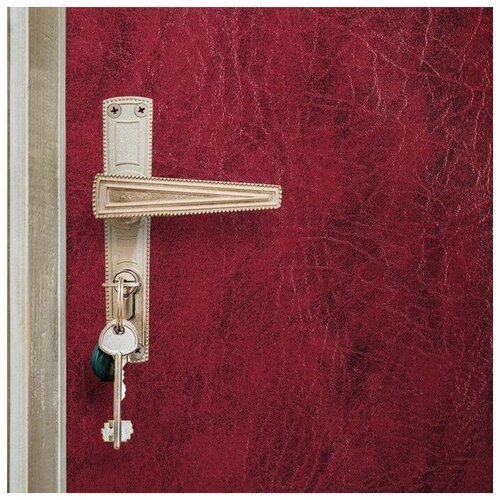 Комплект для обивки дверей, 110 × 200 см: иск. кожа, поролон 3 мм, гвозди, бордо, «Эконом»