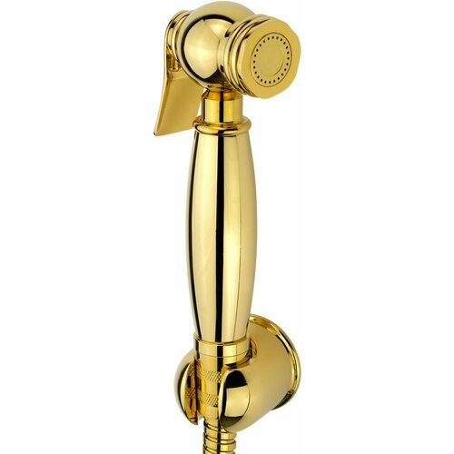 Гигиенический душ Veragio Kit 30818 золото