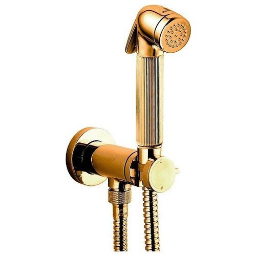 Гигиенический душ Bossini Nikita Mixer Set E37008B золото, со смесителем, С внутренней частью
