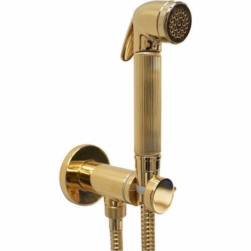 Гигиенический душ Bossini NIKITA с прогрессивным смесителем, лейка металлическая, шланг металлический, золото (E37008B.021)